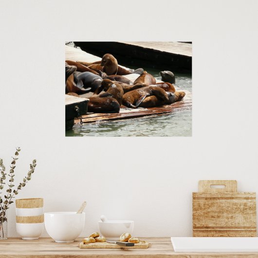 Zonnebranderige Zeeen in San Francisco Poster (Keuken)