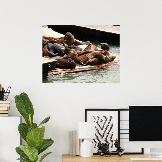 Zonnebranderige Zeeen in San Francisco Poster (Thuiskantoor)