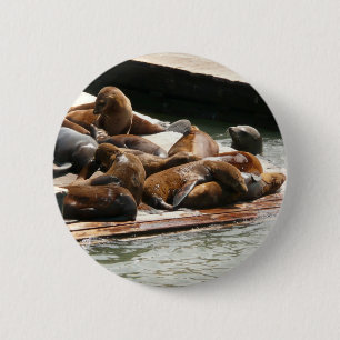 Zonnebranderige Zeeen in San Francisco Ronde Button 5,7 Cm