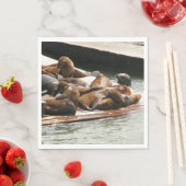 Zonnebranderige Zeeen in San Francisco Servet (Insitu)