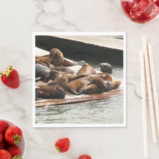 Zonnebranderige Zeeen in San Francisco Servet (Insitu)