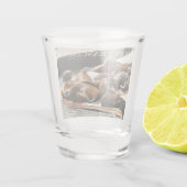 Zonnebranderige Zeeen in San Francisco Shot Glas (Achterkant)
