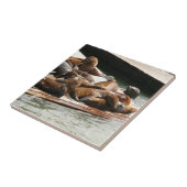 Zonnebranderige Zeeen in San Francisco Tegeltje (Zijkant)