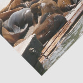 Zonnebranderige Zeeen in San Francisco Tissuepapier (Detail)