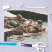 Zonnebranderige Zeeen in San Francisco Tissuepapier (Craft)