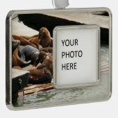 Zonnebranderige Zeeen in San Francisco Verzilverd Omlijst Ornament (Rechts)