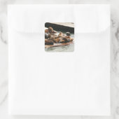 Zonnebranderige Zeeen in San Francisco Vierkante Sticker (Tas)