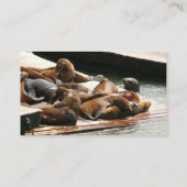 Zonnebranderige Zeeen in San Francisco Visitekaartje (Achterkant)