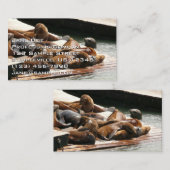 Zonnebranderige Zeeen in San Francisco Visitekaartje (Voorkant / Achterkant)