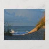 'Zonnebranding' Briefkaart (Voorkant)