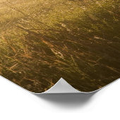 Zonnebrandlampen langs de hek bij Charlo Poster (Hoek)