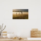 Zonnebrandlampen langs de hek bij Charlo Poster (Keuken)