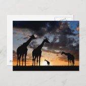 zonnebrandmiddel wild giraf silhouet briefkaart (Voorkant / Achterkant)