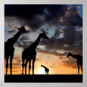 zonnebrandmiddel wild giraf silhouet poster (Voorkant)