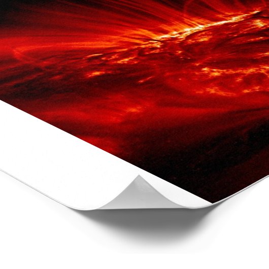 zonnebrandmiddelen poster (Hoek)