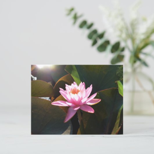 Zonnebrandstoffles Briefkaart (Staand voorkant)