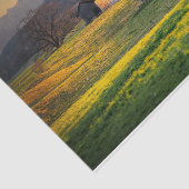 Zonnebrandwonden onder groene heuvels tissuepapier (Detail)