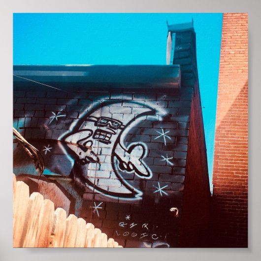 zonnebril op nachtmaan poster (Voorkant)