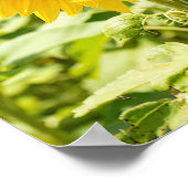 Zonnebril Op Zonnebloem Poster (Hoek)