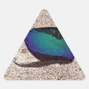 zonnebril sticker
