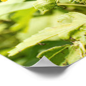 Zonnebrillen op zonnebloemen poster (Hoek)