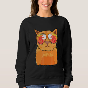 Zonnebrillen van kattenbakkerij trui