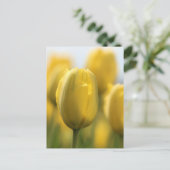 Zonnebuisjes Briefkaart (Staand voorkant)