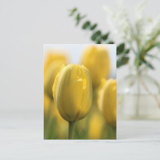 Zonnebuisjes Briefkaart (Staand voorkant)