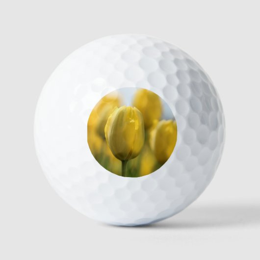 Zonnebuisjes Golfballen (Voorkant)