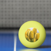 Zonnebuisjes Pingpongbal (Net)