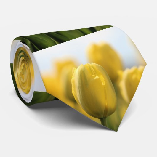 Zonnebuisjes Stropdas (Opgerold)