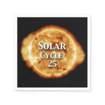 Zonnecyclus 25 Actieve zon