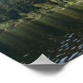 Zonnedag in het Paddenmeer Poster (Hoek)