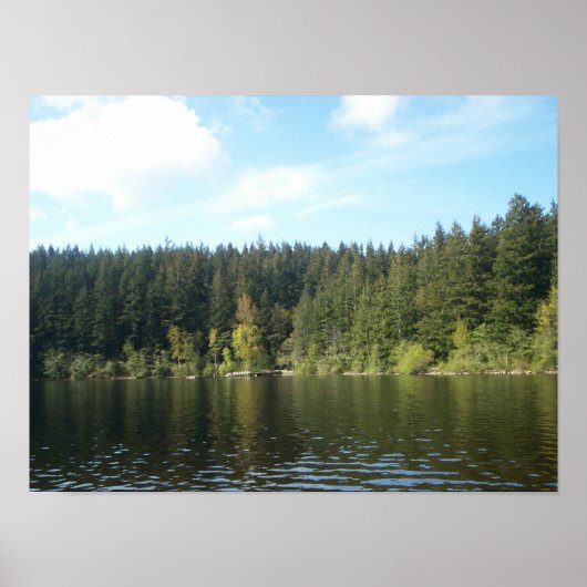 Zonnedag in het Paddenmeer Poster (Voorkant)