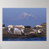 Zonnedagen zijn weer hier - fijne Prints (Voorkant)