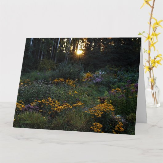 Zonnedagentuinen Kaart (Gele Bloem)