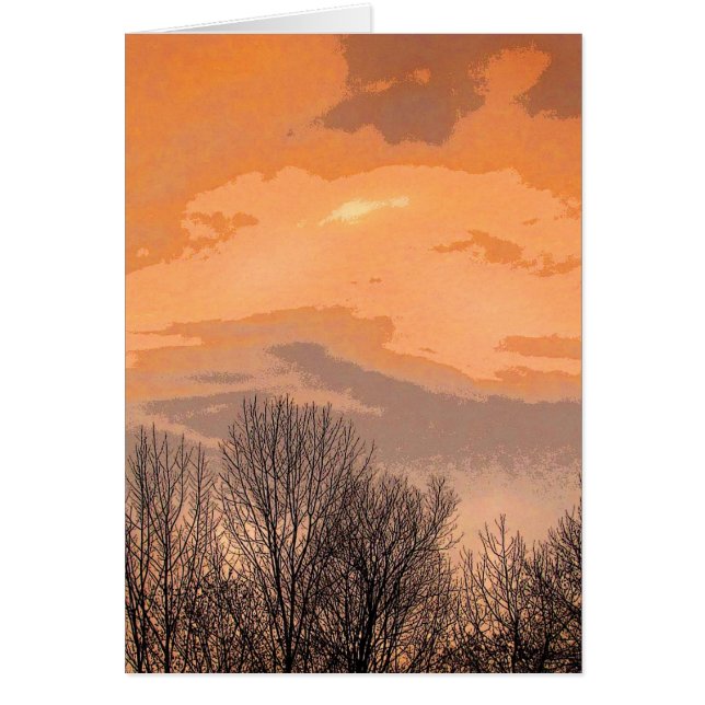 Zonneet met Bare Trees (Voorkant)