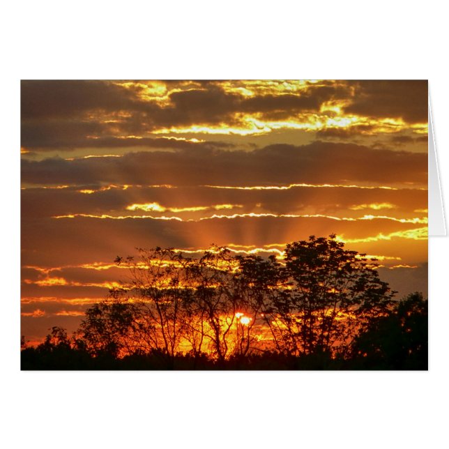 Zonneet met gouden stralen door bomen (Voorkant Horizontaal)