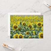 Zonneeuw Kaart (Voorkant / Achterkant in situ)