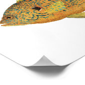 Zonneeuwen- Blaegill en Pumpkinseed Poster (Hoek)