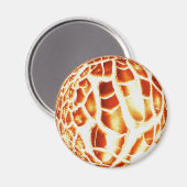 Zonnefotomagneet Magneet (Voorkant / Achterkant)