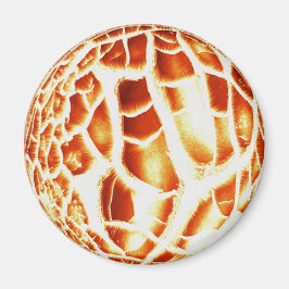 Zonnefotomagneet Magneet