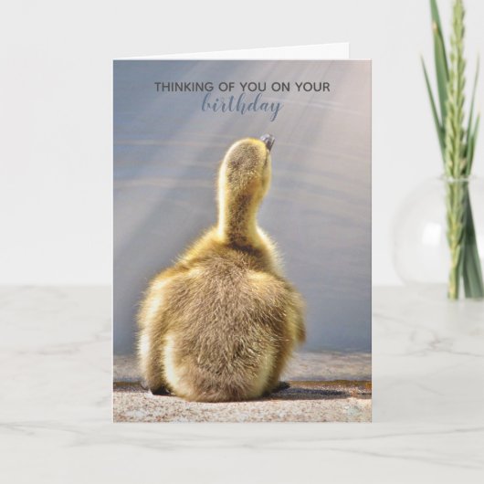 Zonnegeboortedag — Wiskaart Kaart (Voorkant)