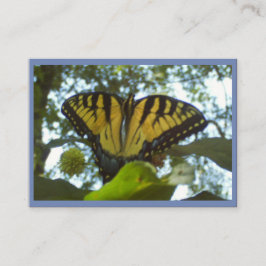 Zonnegeel monarch visitekaartje