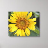  Zonnegeel Zonnebloem 20 x 16 inch Canvas Afdruk (Voorkant)