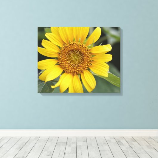  Zonnegeel Zonnebloem 20 x 16 inch Canvas Afdruk (Insitu (Houten vloer))