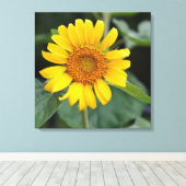  Zonnegeel Zonnebloem 24 x 24 inch Canvas Afdruk (Insitu (Houten vloer))