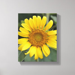  Zonnegeel Zonnebloem 8 x 10 inch Canvas Afdruk