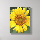 Zonnegeel Zonnebloem 8 x 10 inch Canvas Afdruk (Voorkant)