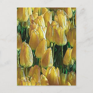 Zonnegeltulpen Briefkaart